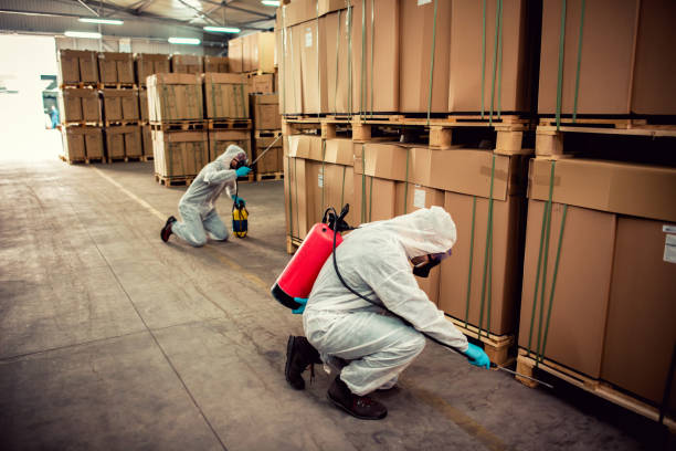 Best Pest Control Near Me in Hughson, CA