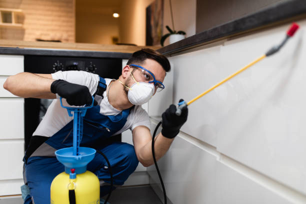 Best Emergency Pest Control  in Hughson, CA