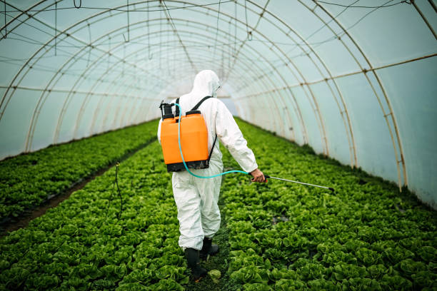 Best Best Pest Control Companies  in Hughson, CA