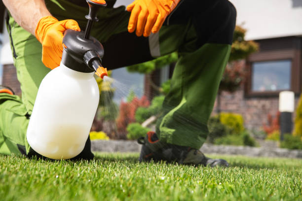 Best Emergency Pest Control  in Hughson, CA
