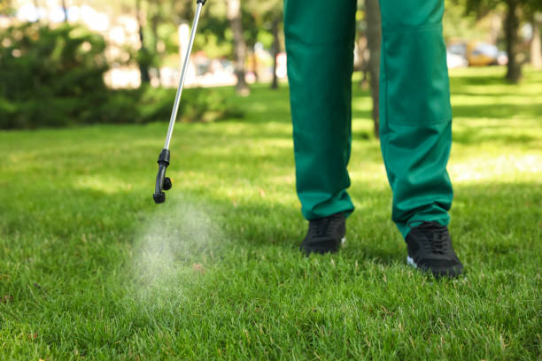 Best Local Pest Control Services  in Hughson, CA