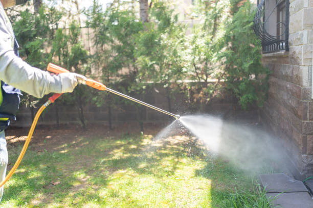 Best Pest Control Near Me  in Hughson, CA