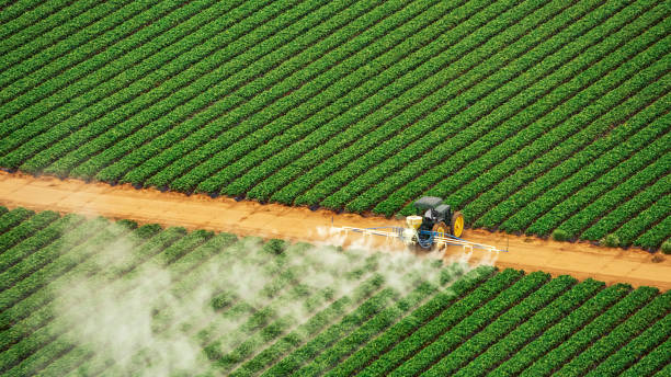 Best Mosquito Control Services  in Hughson, CA