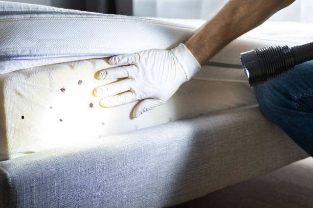 Best Exterminator Services  in Hughson, CA