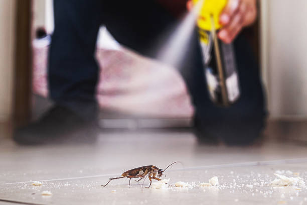 Best Pest Prevention Services  in Hughson, CA