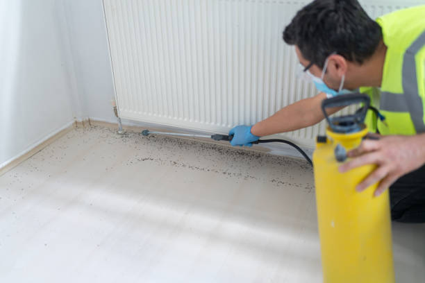 Best Mosquito Control Services  in Hughson, CA